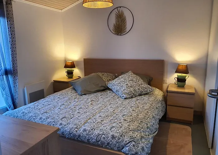 Apartman Cosy Et Climatise Pour 1 A 4 Personnes 150m Place Gambetta *